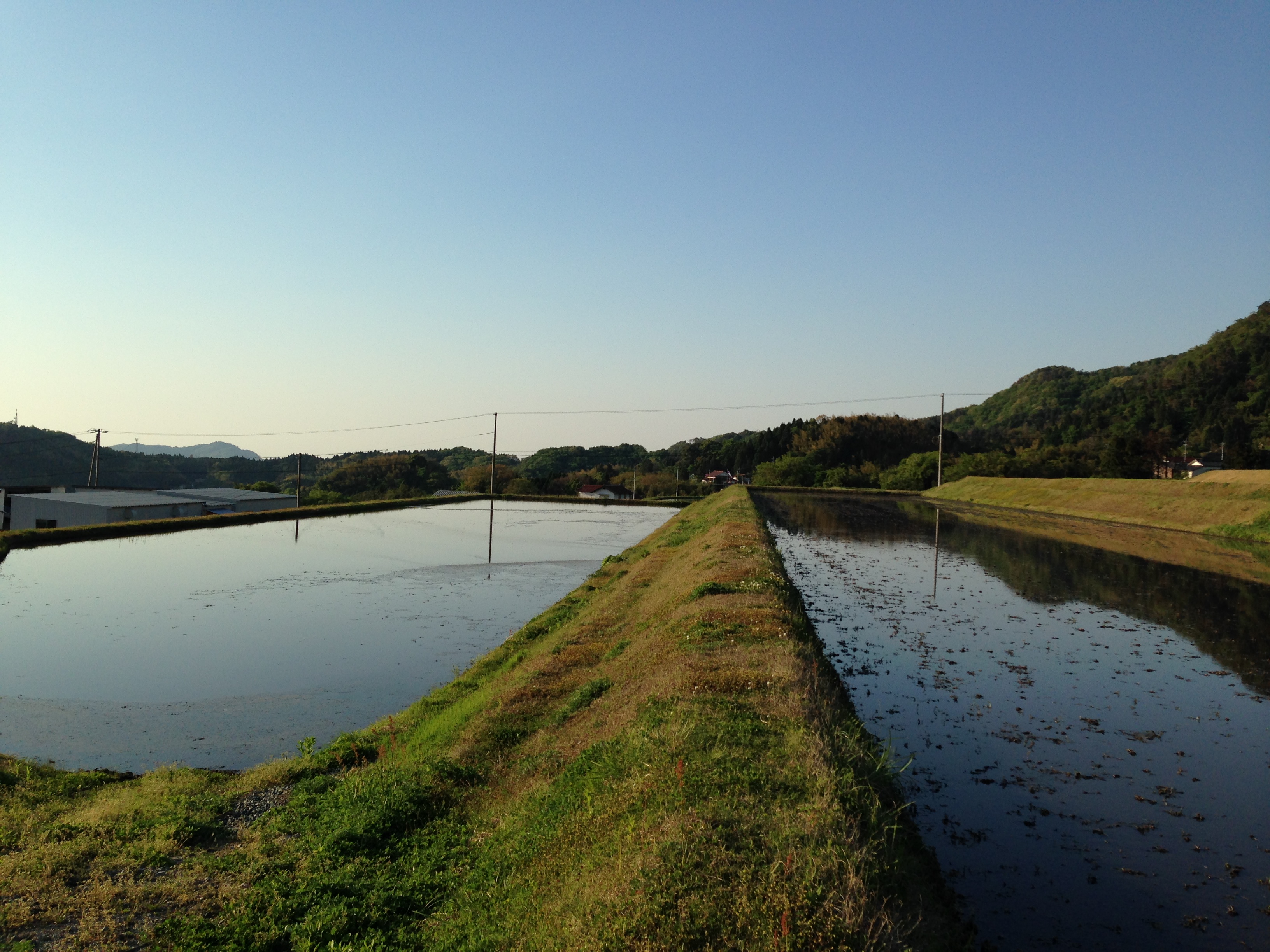 「田舎には何もない」って、思いこみじゃないですか？ 知識ゼロから始める農家さんの野菜・果物ネット販売