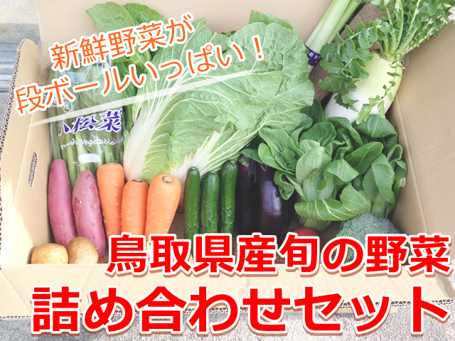 鳥取県産の新鮮な野菜通販セット