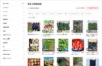 農産物を売るなら「メルカリ」？「メルカリShops」？ ネット販売がはじめての農家さん向けに、やさしく徹底比較！